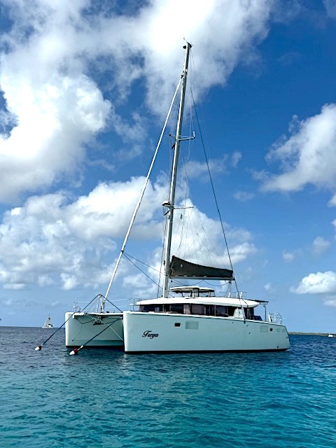 Used Sail Catamaran for Sale 2017 Lagoon 450 